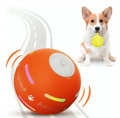 SmartBall Toy