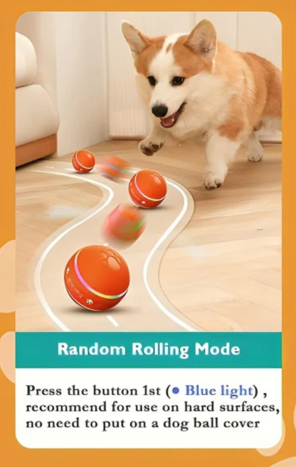 SmartBall Toy