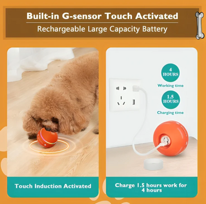 SmartBall Toy